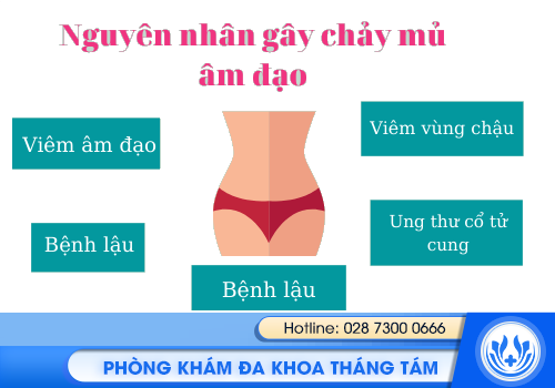 chảy mủ vùng kín