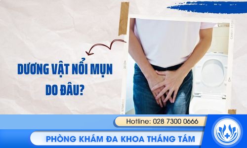 dương vật nổi mụn do đâu