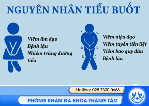 tieu buot o nam va nua