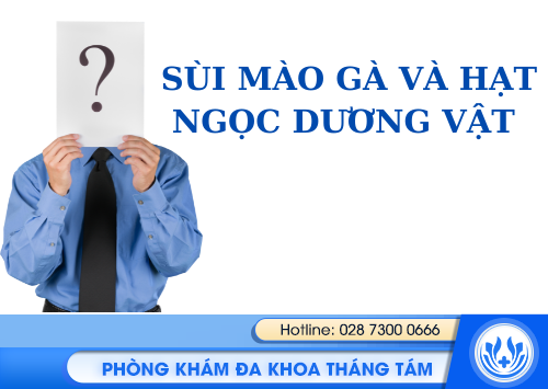 phân biệt sùi mào gà và chuỗi hạt ngọc dương vật