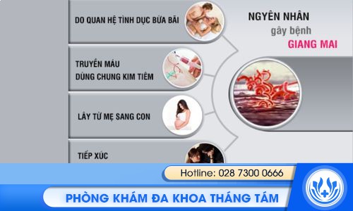 tổng quan bệnh giang mai